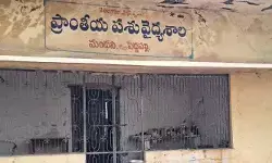 వెటర్నరీ ఆఫీస్ను పట్టించుకునే నాథుడే లేడా..? వెటర్నరీ ఆఫీస్ను పట్టించుకునే నాథుడే లేడా..?