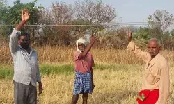 ప్రమాదం అంచున విద్యుత్ వైర్లు... ప్రమాదం అంచున విద్యుత్ వైర్లు...