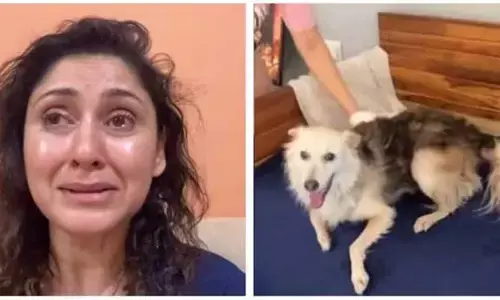 కుక్కపిల్లను దారుణంగా కొట్టి చంపేశారు : నటి కన్నీళ్లు