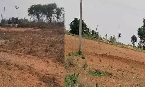 రక్షకులే.. భక్షకులయ్యారు..!