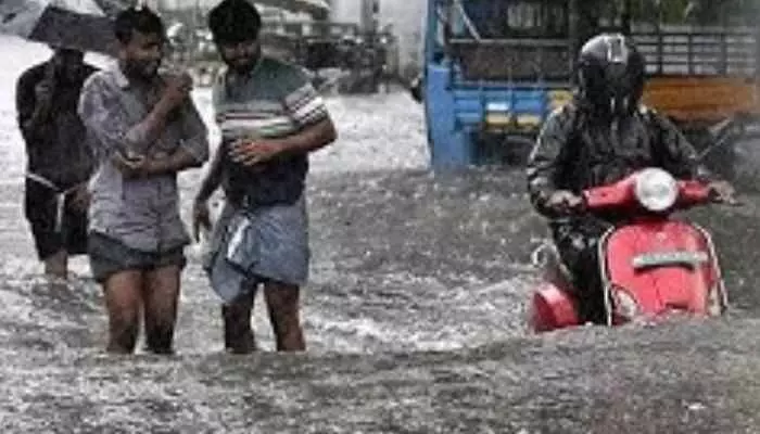 బిగ్ అలర్ట్... నేడు ఈ జిల్లాల్లో పిడుగులతో కూడిన భారీ వర్షాలు బిగ్ అలర్ట్... నేడు ఈ జిల్లాల్లో పిడుగులతో కూడిన భారీ వర్షాలు