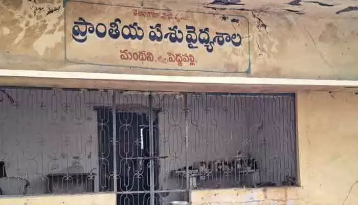వెటర్నరీ ఆఫీస్ను పట్టించుకునే నాథుడే లేడా..? వెటర్నరీ ఆఫీస్ను పట్టించుకునే నాథుడే లేడా..?