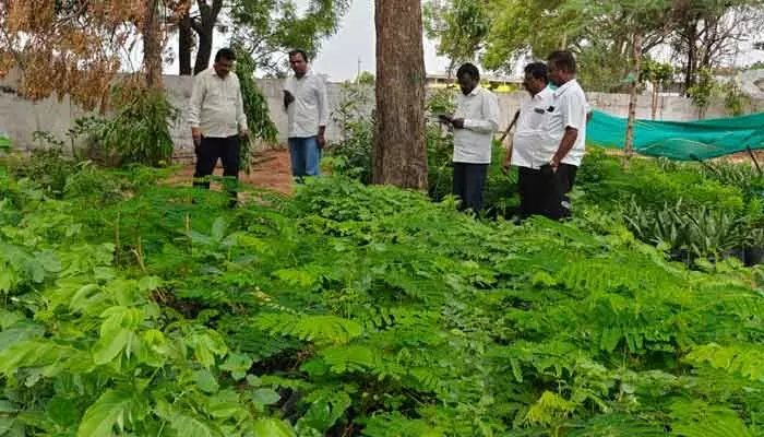 వన మహోత్సవానికి మొక్కలు సిద్ధం చేయాలి వన మహోత్సవానికి మొక్కలు సిద్ధం చేయాలి