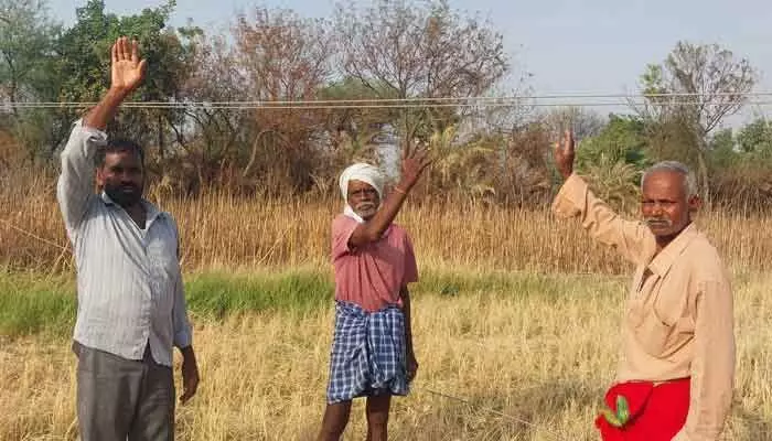 ప్రమాదం అంచున విద్యుత్ వైర్లు... ప్రమాదం అంచున విద్యుత్ వైర్లు...