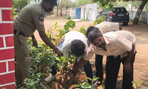 రౌడీ షీటర్లతో మొక్కలు నాటించిన పోలీసులు!