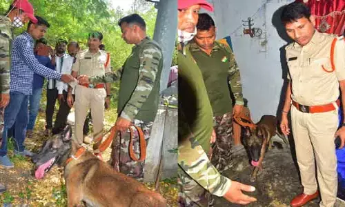 గంజాయి రహిత సమాజమే లక్ష్యంగా విస్తృత తనిఖీలు...
