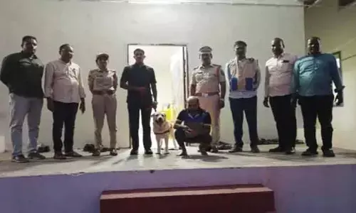 చేవెళ్లలో గంజాయి కలకలం