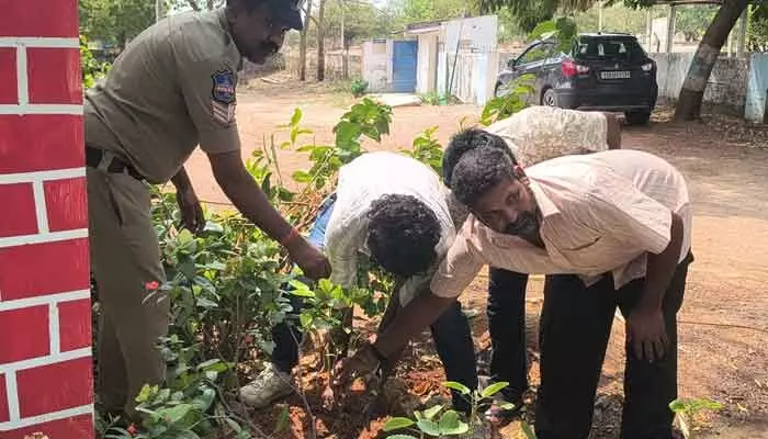 రౌడీ షీటర్లతో మొక్కలు నాటించిన పోలీసులు! రౌడీ షీటర్లతో మొక్కలు నాటించిన పోలీసులు!