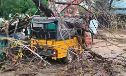 గాలి దుమారానికి కూలిన చెట్టు.. ఆటో ధ్వంసం గాలి దుమారానికి కూలిన చెట్టు.. ఆటో ధ్వంసం