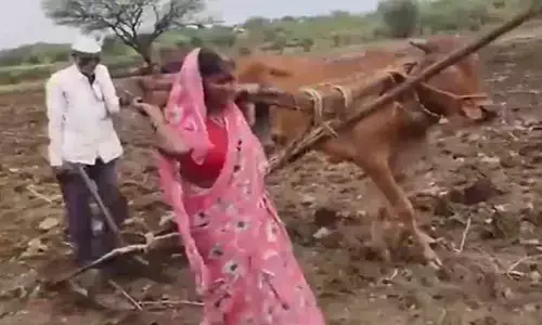 కాడెద్దుగా మారిన మహిళా రైతు.. గుండెల్ని పిండేసే హృదయవిదారక దృశ్యం!