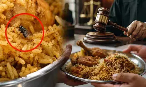 Viral: బిర్యానీలో చచ్చిన ఈగ.. వినియోగదారుల కోర్టు వింత తీర్పు