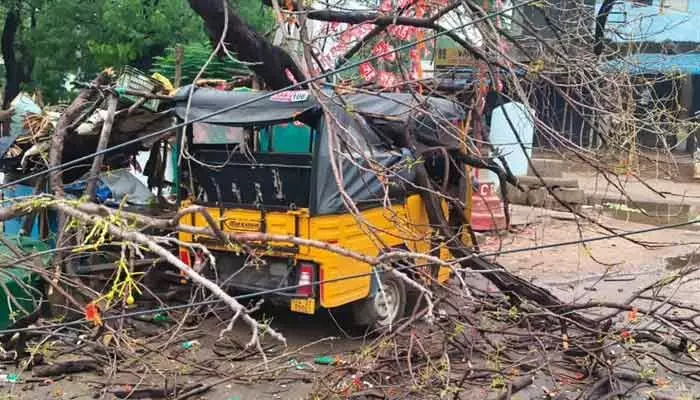 గాలి దుమారానికి కూలిన చెట్టు.. ఆటో ధ్వంసం గాలి దుమారానికి కూలిన చెట్టు.. ఆటో ధ్వంసం