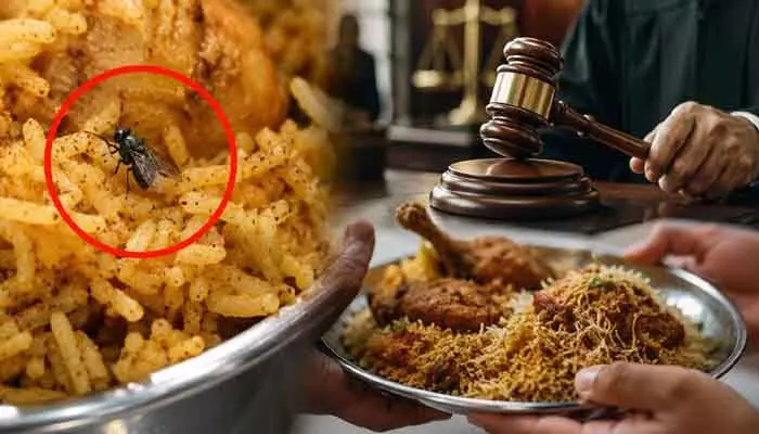 Viral: బిర్యానీలో చచ్చిన ఈగ.. వినియోగదారుల కోర్టు వింత తీర్పు Viral: బిర్యానీలో చచ్చిన ఈగ.. వినియోగదారుల కోర్టు వింత తీర్పు