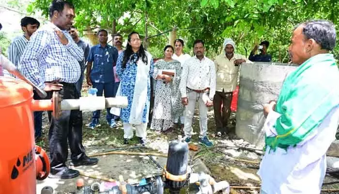 సేంద్రియ వ్యవసాయంతో అధిక లాభాలు సేంద్రియ వ్యవసాయంతో అధిక లాభాలు