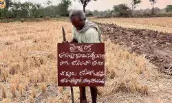 దిశ ఎఫెక్ట్.. పచ్చునూర్లో కబ్జాకు గురైన ప్రభుత్వ భూమి సీజ్ దిశ ఎఫెక్ట్.. పచ్చునూర్లో కబ్జాకు గురైన ప్రభుత్వ భూమి సీజ్