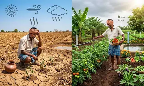 రాష్ట్రంలో ఎల్‌నినో ప్రభావం.. ప్రత్యామ్నాయ సాగుపై ఉద్యాన శాఖ గైడ్‌లైన్స్