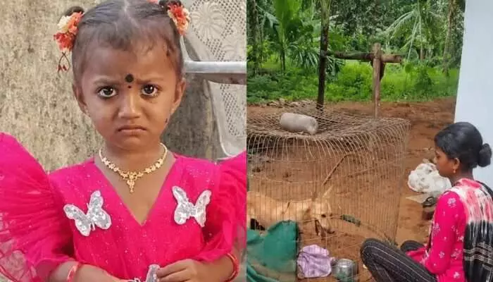 ఆరురోజులైనా దొరకని జాను ఆచూకీ.. అడవిని జల్లెడ పడుతున్న పోలీసులు ఆరురోజులైనా దొరకని జాను ఆచూకీ.. అడవిని జల్లెడ పడుతున్న పోలీసులు