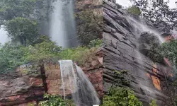 ఉమామహేశ్వర క్షేత్రంలో భారీ వర్షం.. పరవళ్లు తొక్కుతున్న జలపాతం దృశ్యాలు ఉమామహేశ్వర క్షేత్రంలో భారీ వర్షం.. పరవళ్లు తొక్కుతున్న జలపాతం దృశ్యాలు