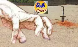 ‘దిశ’ ఎఫెక్ట్.. కబ్జా భూములపై విచారణకు తహసీల్దార్ ఆదేశం ‘దిశ’ ఎఫెక్ట్.. కబ్జా భూములపై విచారణకు తహసీల్దార్ ఆదేశం