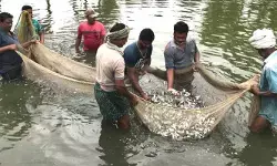 ఆక్వా రైతుల ఉద్యమం ఉధృతం... రోడ్లపై నిరసనకు పిలుపు ఆక్వా రైతుల ఉద్యమం ఉధృతం... రోడ్లపై నిరసనకు పిలుపు