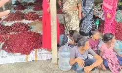 మిర్చి గ్రేడింగ్‌లలో బాల కార్మికులు.. ముగ్గురు యజమానులపై కేసు