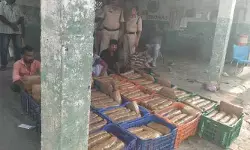 రెండు క్వింటాల గంజాయి పట్టివేత..