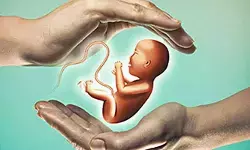వనస్థలిపురం, నాగోల్‌లో జోరుగా లింగ నిర్ధారణ దందా..