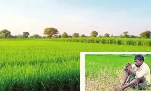 తెలంగాణలో ఈసారి ఖరీఫ్ సాగు డౌన్