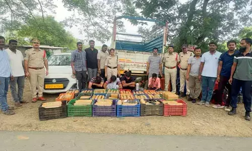 తెలంగాణలో ఈగల్ ఫోర్స్ దెబ్బ.. కోటి రూపాయల గంజాయి గుట్టురట్టు!