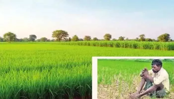 తెలంగాణలో ఈసారి ఖరీఫ్ సాగు డౌన్ తెలంగాణలో ఈసారి ఖరీఫ్ సాగు డౌన్