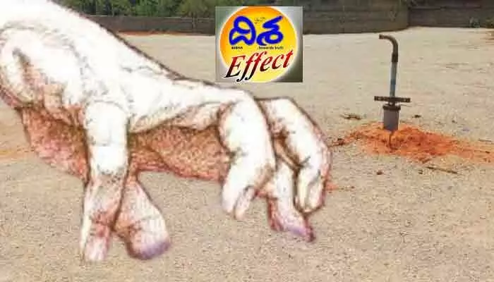 ‘దిశ’ ఎఫెక్ట్.. కబ్జా భూములపై విచారణకు తహసీల్దార్ ఆదేశం ‘దిశ’ ఎఫెక్ట్.. కబ్జా భూములపై విచారణకు తహసీల్దార్ ఆదేశం