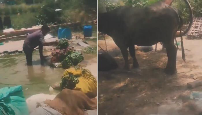 ఆరోగ్యం పదిలం అనుకుంటే పొరపాటే! మురికి నీటిలో కడుగుతున్న తాజా ఆకుకూరలు!