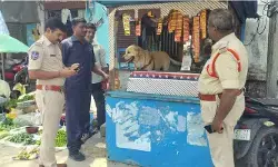గంభీరావుపేటలో డాగ్ స్క్వాడ్తో పోలీసుల విస్తృత తనిఖీలు గంభీరావుపేటలో డాగ్ స్క్వాడ్తో పోలీసుల విస్తృత తనిఖీలు