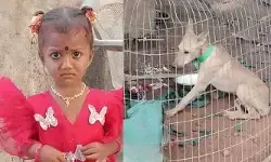 చిన్నారి జాను మిస్సింగ్ కేసు.. కుక్కకు పోస్టుమార్టం పూర్తి! చిన్నారి జాను మిస్సింగ్ కేసు.. కుక్కకు పోస్టుమార్టం పూర్తి!