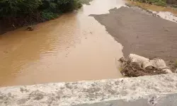 మూసీ వాగులో వరద ప్రవాహం