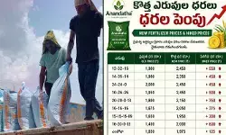 భారీగా పెరిగిన కాంప్లెక్స్ ధరలు...