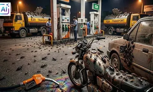 ఇథనాల్ బైక్‌ల పెట్రోల్ ట్యాంకుల వద్ద చీమలు, కందరీగలు.. వైరల్ వార్తల వెనుక అసలు నిజం!