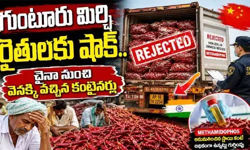 గుంటూరు మిర్చికి చైనా బ్రేక్.. మూడు కంటైనర్ల సరుకు తిరస్కరణ