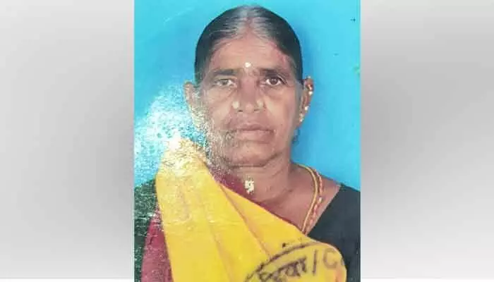 శేరిలాలో వృద్ధురాలు అదృశ్యం శేరిలాలో వృద్ధురాలు అదృశ్యం