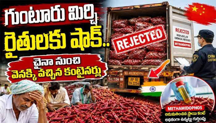 గుంటూరు మిర్చికి చైనా బ్రేక్.. మూడు కంటైనర్ల సరుకు తిరస్కరణ