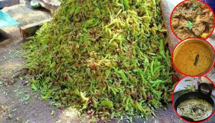 చింత చిగురు.. రుచిలో దాని తీరే వేరు! చింత చిగురు.. రుచిలో దాని తీరే వేరు!