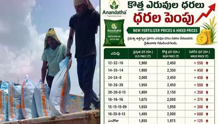 భారీగా పెరిగిన కాంప్లెక్స్ ధరలు... భారీగా పెరిగిన కాంప్లెక్స్ ధరలు...