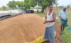 కొనుగోలు కేంద్రంలో మొలకెత్తిన ధాన్యం కొనుగోలు కేంద్రంలో మొలకెత్తిన ధాన్యం