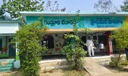 అమావాస్య ఎఫెక్ట్.. జిల్లా వ్యాప్తంగా పాఠశాలల్లో తగ్గిన విద్యార్థుల హాజరు అమావాస్య ఎఫెక్ట్.. జిల్లా వ్యాప్తంగా పాఠశాలల్లో తగ్గిన విద్యార్థుల హాజరు