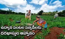 ఉద్యాన పంటల సబ్సిడీలకు దరఖాస్తుల ఆహ్వానం ఉద్యాన పంటల సబ్సిడీలకు దరఖాస్తుల ఆహ్వానం