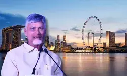 భారత హై కమిషనర్ డాక్టర్ శిల్పక్ అంబులేతో సీఎం చంద్రబాబు భేటీ భారత హై కమిషనర్ డాక్టర్ శిల్పక్ అంబులేతో సీఎం చంద్రబాబు భేటీ