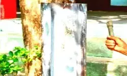 ఎల్లారెడ్డిపేట మండలంలో మోగిన బడిగంట ఎల్లారెడ్డిపేట మండలంలో మోగిన బడిగంట
