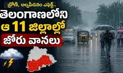 IMD: ద్రోణి, అల్పపీడనం ఎఫెక్ట్.. తెలంగాణలోని ఆ 11 జిల్లాల్లో జోరు వానలు IMD: ద్రోణి, అల్పపీడనం ఎఫెక్ట్.. తెలంగాణలోని ఆ 11 జిల్లాల్లో జోరు వానలు