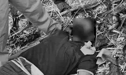 తాటి చెట్టుపై నుంచి పడి గీత కార్మికుడు మృతి తాటి చెట్టుపై నుంచి పడి గీత కార్మికుడు మృతి
