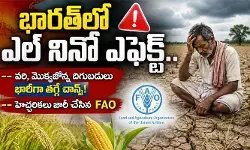 భారత్లో ఎల్ నినో ఎఫెక్ట్.. వరి, మొక్కజొన్న దిగుబడులు భారీగా తగ్గే చాన్స్! భారత్లో ఎల్ నినో ఎఫెక్ట్.. వరి, మొక్కజొన్న దిగుబడులు భారీగా తగ్గే చాన్స్!